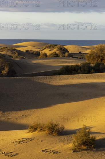 Maspalomas Dunes Nature Reserve, Gran Canaria, Canary Islands