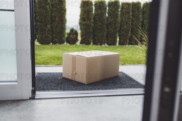 Delivery package, a cardboard box sitting in front of the front door, waiting to be picked up.