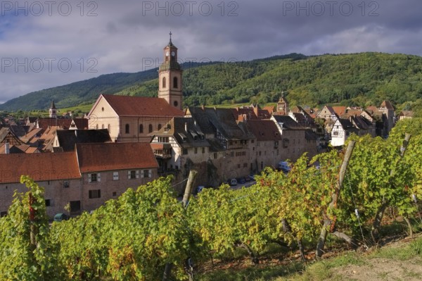 Vineyard and townscape Riquewihr in Alsace, France, Vineyard and townscape Riquewihr, Alsace in