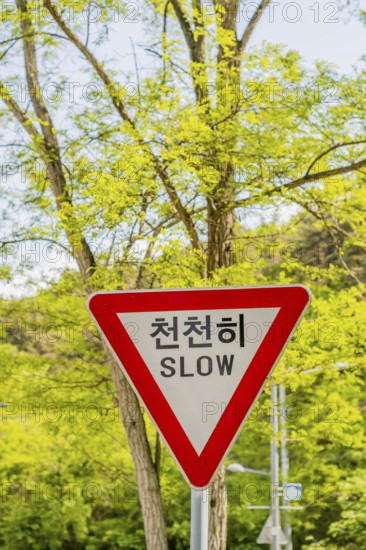 Red triangular traffic sign with the word 'SLOW' and Korean text against green foliage, in Daejeon,