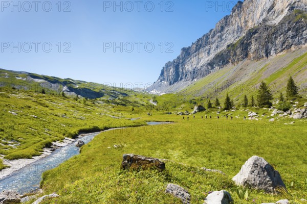 Beautiful green grass valley at high elevation at Sixt Fer A Cheval National Park with view of Tete