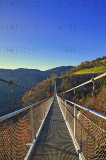 Longitudinal view of a suspension bridge leading over wooded hills, Black Forest Line, suspension