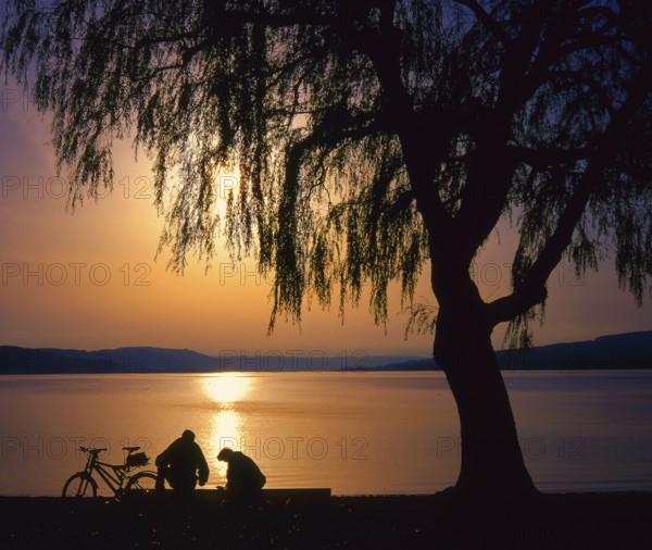Reichenau Island in Lake of Constance, evening mood, pair on bench, bicycles, Baden-Württemberg,