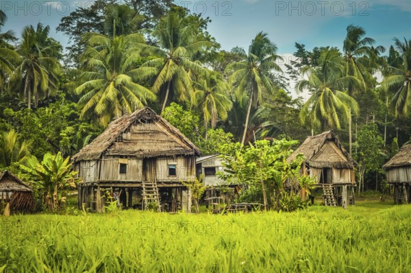 Simple houses made of straw, wood and bamboo surrounded by greenery in Palembe, Sepik river in