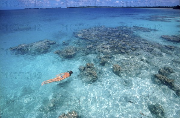 Woman looking at coral while snorkeling in lagoon of Manihi Island, Pacific Ocean, South Pacific,