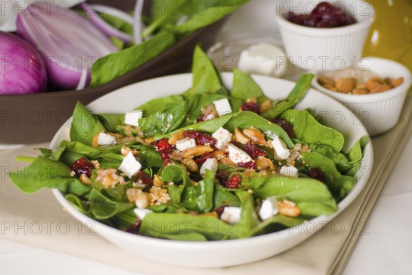Plate of fresh colorfull spinach salad close up