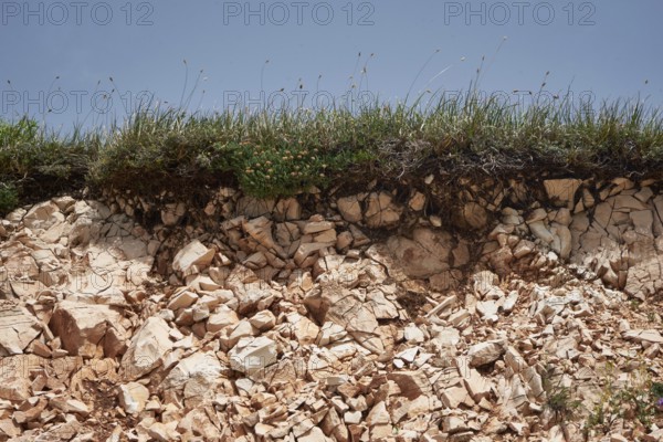 Calcareous soil with grass cover, Rendzina, Monti Sibillini National Park, Parco Nazionale dei