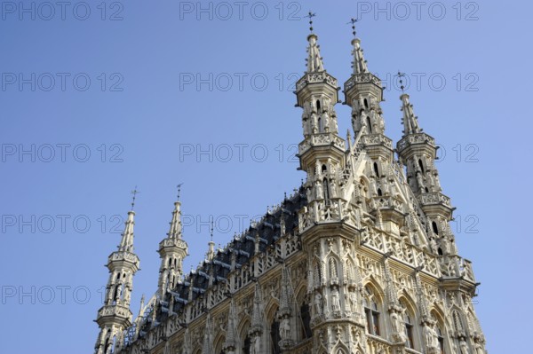 City Hall, Leuven, Flemish Brabant, Flanders, Belgium, Louvain, Leuven, Europe