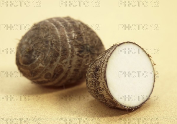 Taro (colocasia esculenta), Arum family, Eddo, Tuber of Dasheen Plant
