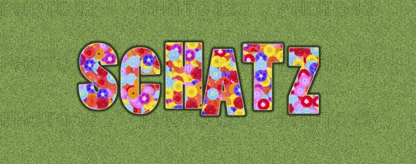 According to a survey from May 2023, the pet name Schatz is among the 10 most popular pet names in