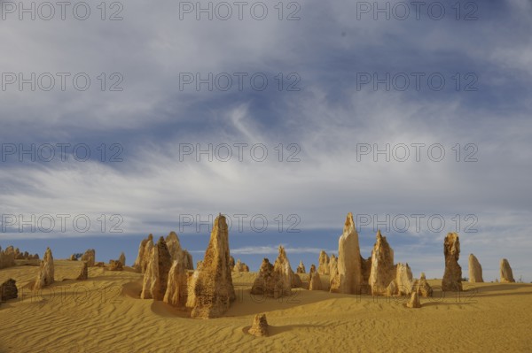 Rock Needles, Pinnacles Desert, Nambung National Park, Cervantes, Western Australia, Australia,