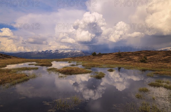 High moor, Schwendau, Zillertal, Tyrol lowlands, Tyrol, Austria, Europe