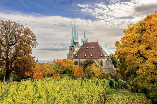 Erfurt Cathedral in Erfurt, Thuringia, Germany, Europe