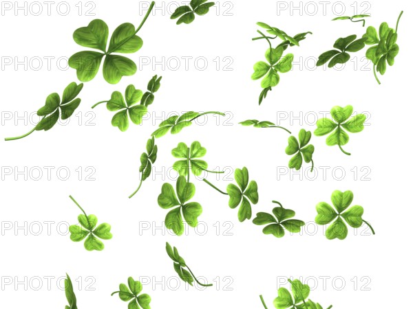 3D illustration of falling shamrock leaves Saint Patricks day symbol isolated on white background