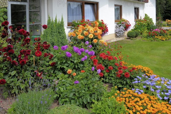 Baden-Württemberg, Black Forest house with flower garden in summer, different summer flowers in the
