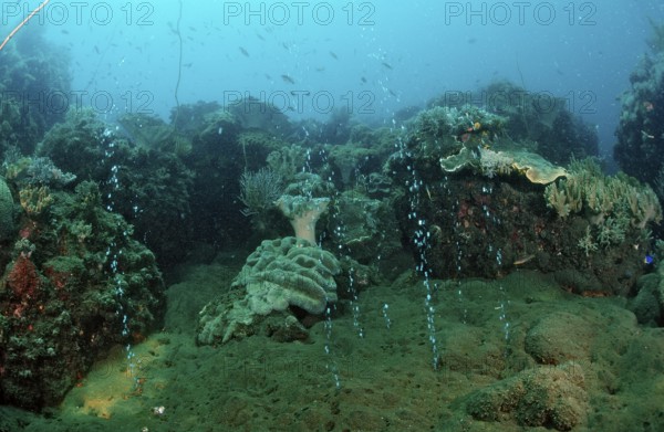 Volcanic gas bubbles, volcanic island, Sangean, Indonesia, Asia