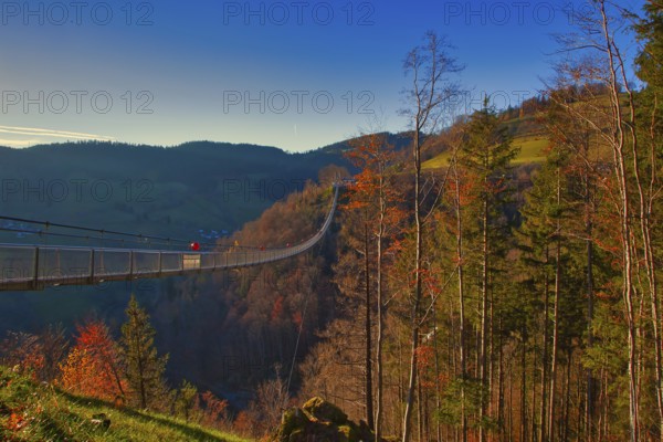 A suspension bridge floats over colourful autumn forests and a hilly landscape, Black Forest Line,