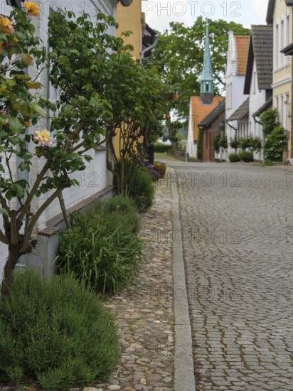 Paved street with well-kept gardens and terraced houses in an idyllic village, maasholm, germany