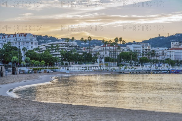 Early at morning view on Croisette, tall palm trees alley, Pink-yellow sky at sunset in summer