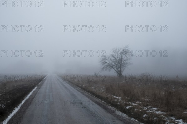 Country road in the fog, Winter, Värmland, Sweden, Europe
