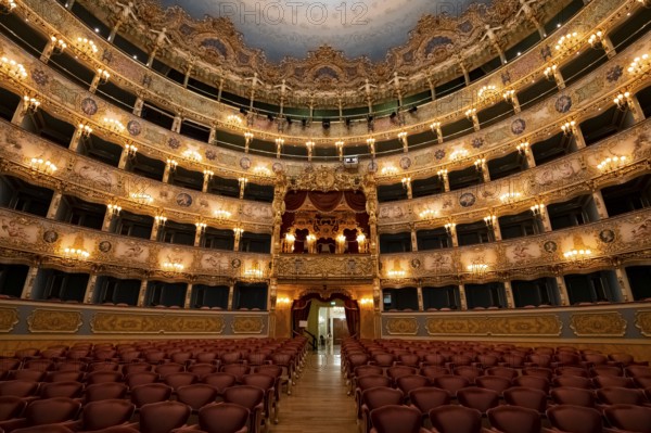Interior view, theatre, Teatro La Fenice, Venice, Veneto, Italy, Europe