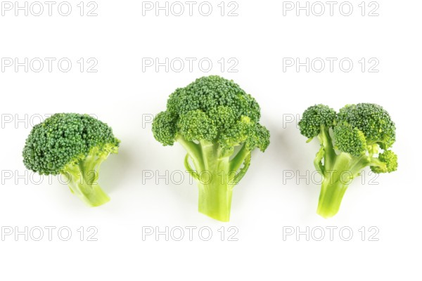 Broccoli florets, shot from the top on a white background