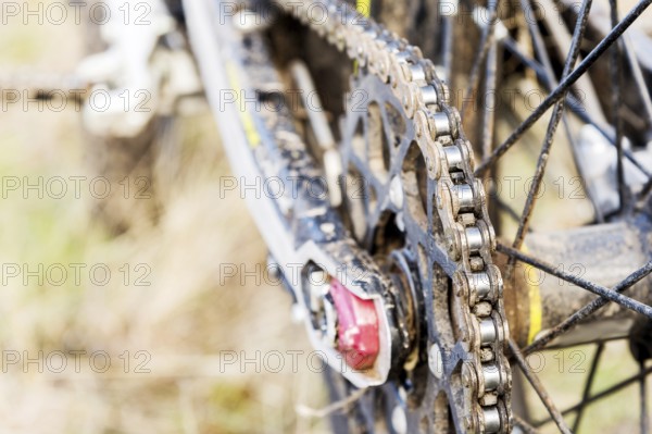 Rear wheel motorcycle trial and enduro. Mounted on the wheel gear and chain with spokes. Close-up