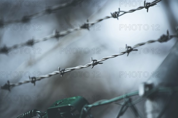 Barbed wire on a metal fence to demarcate the border, closeup, blurry background