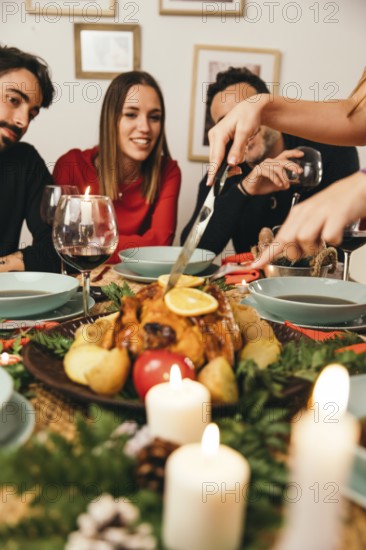 Christmas dinner with friends looking turkey