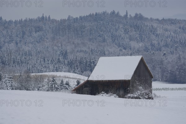 Onset of winter in the Swabian-Franconian Forest nature park Park, Swabian-Siberia, Schwäbisch