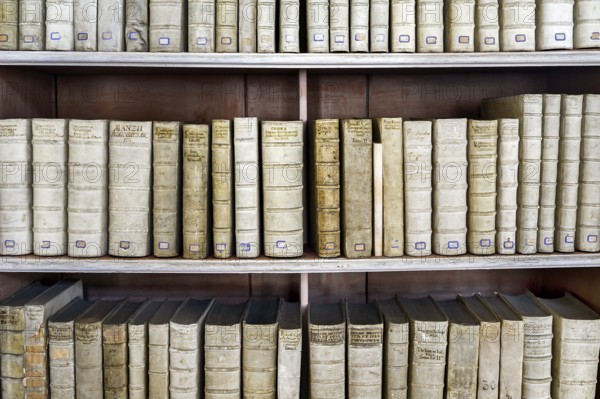 Books in the library, museum, Ottobeuren Monastery, Allgäu, Swabia, Bavaria, Germany, Europe