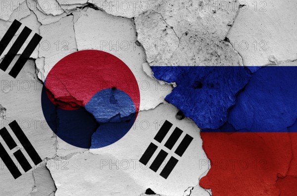 Flags of South Korea and Russia painted on cracked wall