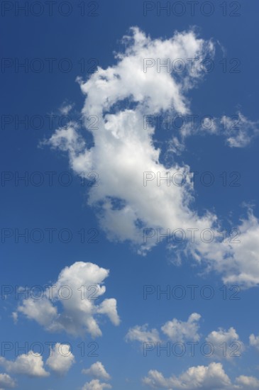 White cumulus clouds ruffled by the strong wind in the blue sky