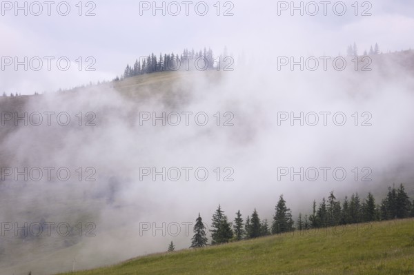 Mountains rural landscape at the rain. Carpathian mountains, Ukraine, Europe