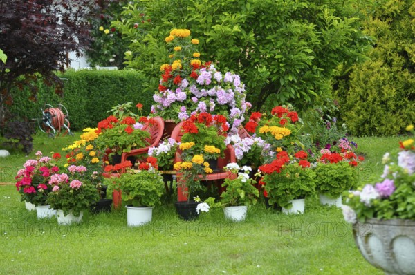 Flower pyramid in the garden