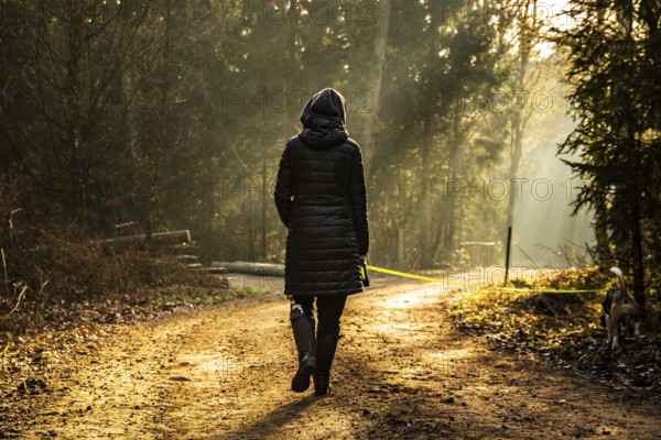 Girl in sun rays walking with beagle dog on leash in forest path