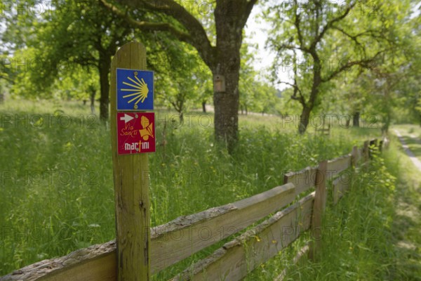 Hiking trails, martinusweg, martinus paths, jacobsweg, jagsttal, neusass, schoental, jagst,
