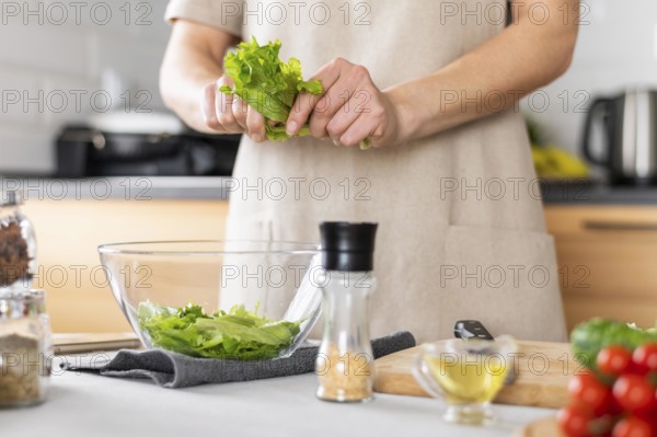 Close up hands holding lettuce