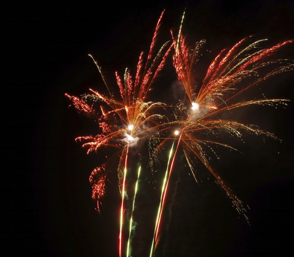Fireworks 20