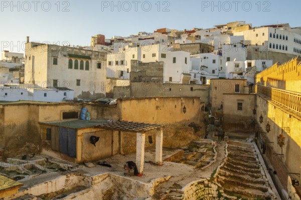 City View of Houses and Tannery in Tetouan, Morocco, Africa