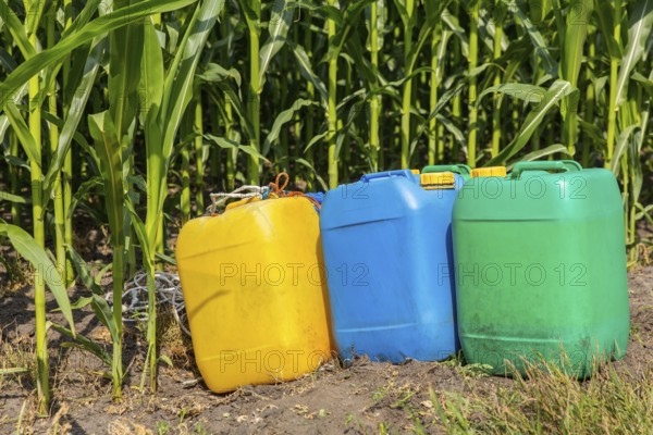Pesticides in colored jerry cans at corn field with plants