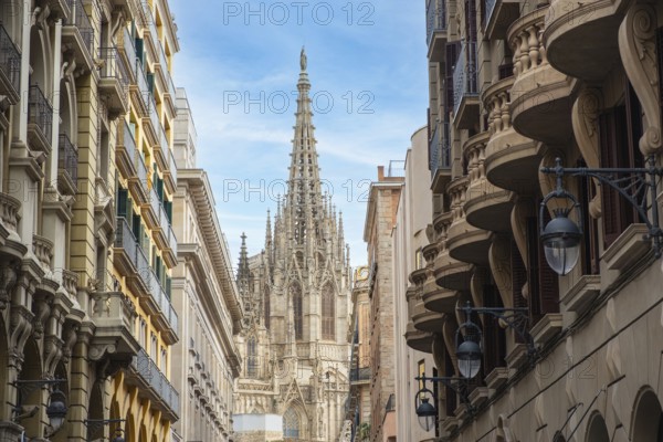 The Cathedral of Barcelona, Spain, Europe