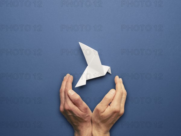 Hands protecting an origami peace dove on a blue paper background, freedom concept