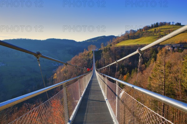 A suspension bridge leads over autumnal landscapes with hills in the background, Black Forest Line,