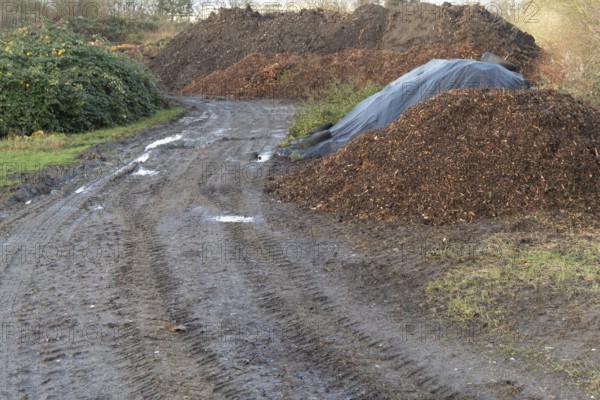 Muddy road leading to piles of wood chips and compost at a composting facility