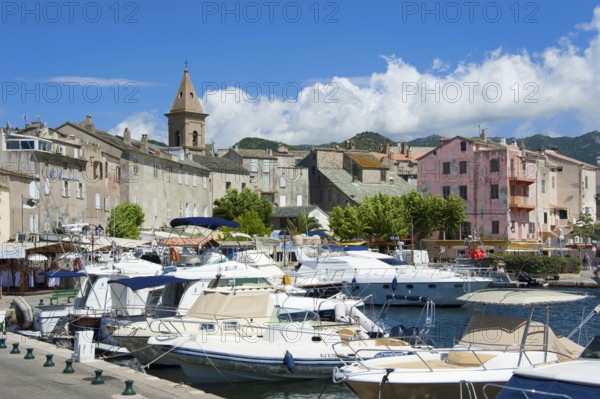 Port and old town, Saint, St.-Florent, Corsica, France, Europe