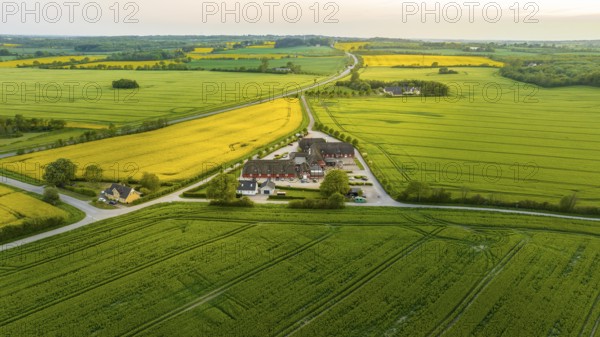 Aerial view, Denmark, Region Syddanmark, Christiansfeld, Agriculture and farms with grain and rape