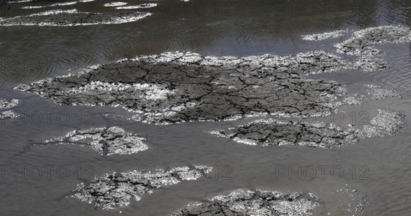 Water and Drought in the Marshes of Camargue, in the South East of France