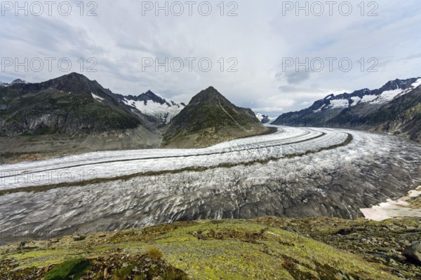 The Great Aletsch Glacier in the Swiss Alps