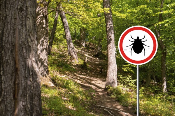 Tick insect warning sign in infected forest. Lyme disease and meningitis transmitter
